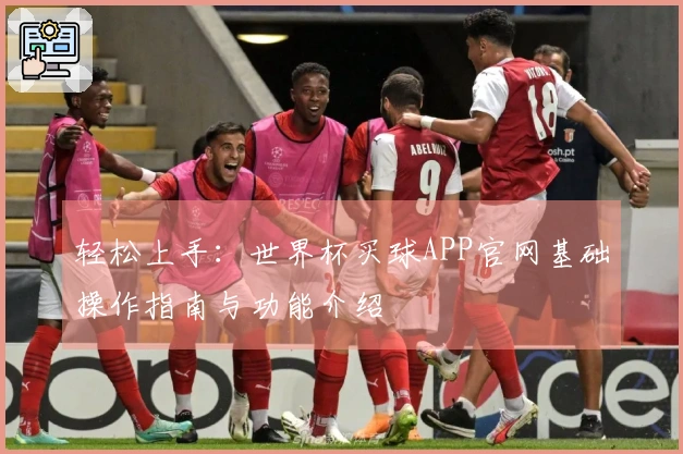 轻松上手：世界杯买球APP官网基础操作指南与功能介绍