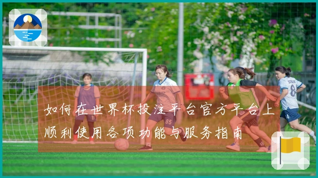 如何在世界杯投注平台官方平台上顺利使用各项功能与服务指南