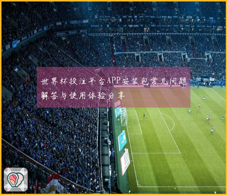 世界杯投注平台APP安装包常见问题解答与使用体验分享