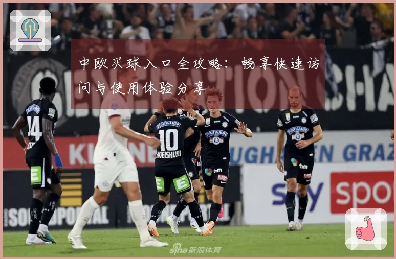 中欧买球入口全攻略：畅享快速访问与使用体验分享
