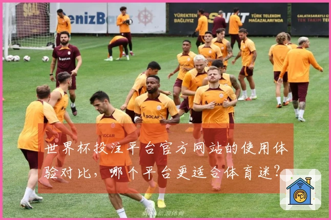 世界杯投注平台官方网站的使用体验对比，哪个平台更适合体育迷？
