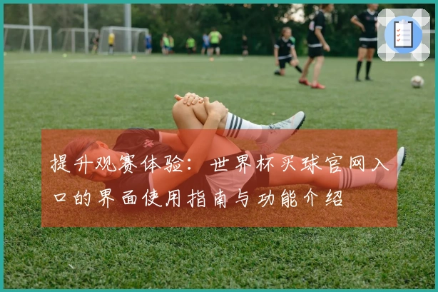 提升观赛体验：世界杯买球官网入口的界面使用指南与功能介绍