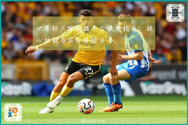 世界杯买球数据平台使用指南：核心功能与实际体验分享
