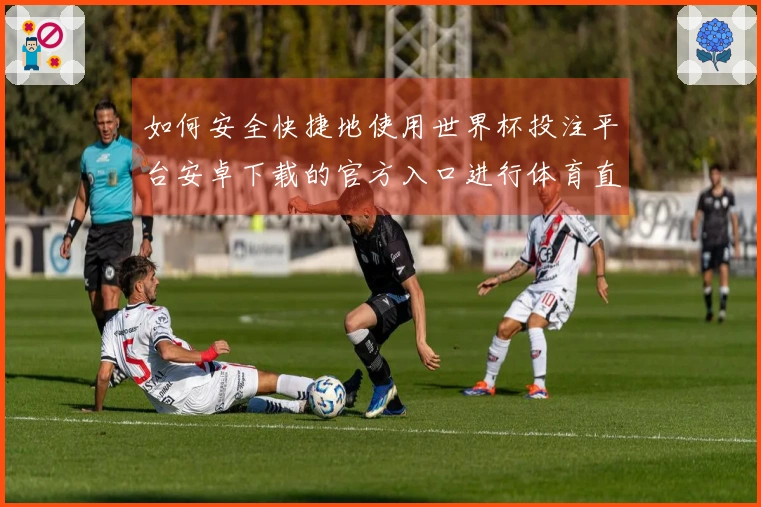 如何安全快捷地使用世界杯投注平台安卓下载的官方入口进行体育直播体验