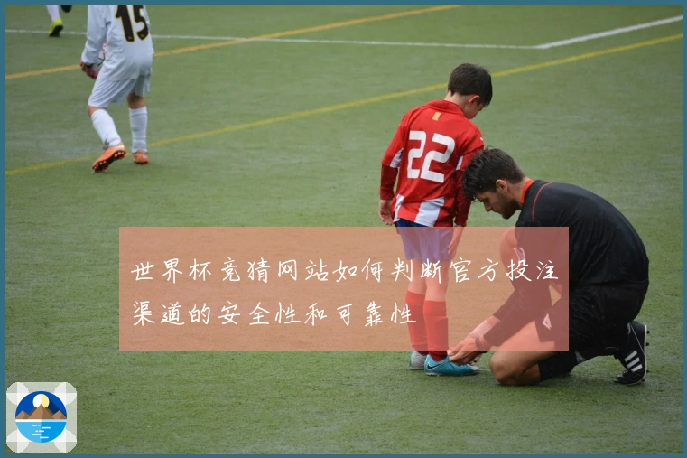 世界杯竞猜网站如何判断官方投注渠道的安全性和可靠性