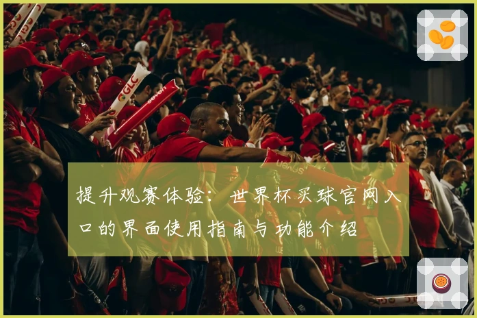 提升观赛体验：世界杯买球官网入口的界面使用指南与功能介绍