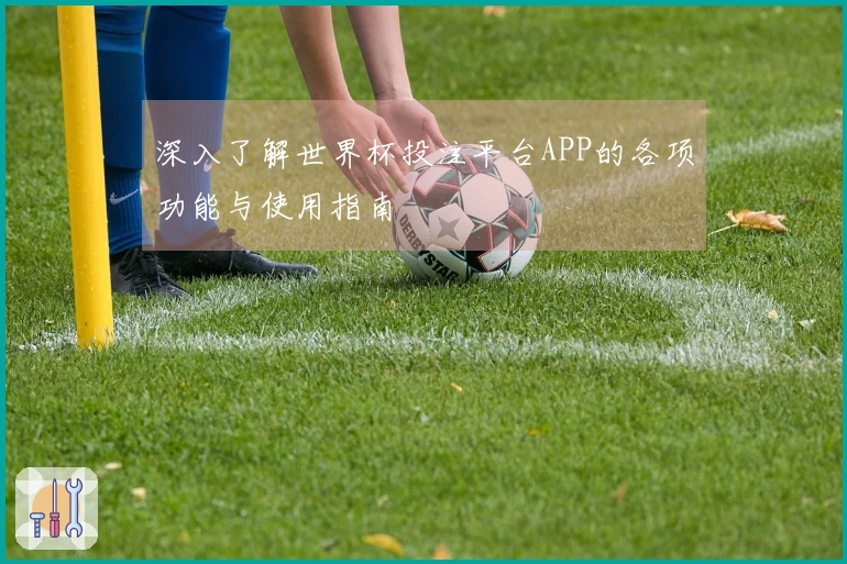 深入了解世界杯投注平台APP的各项功能与使用指南