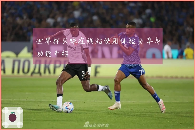 世界杯买球在线站使用体验分享与功能介绍