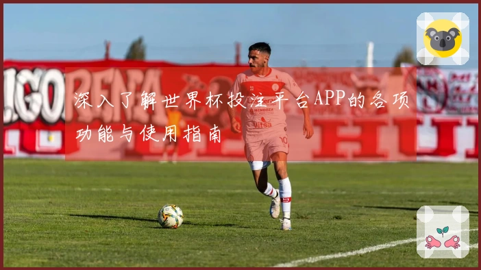 深入了解世界杯投注平台APP的各项功能与使用指南