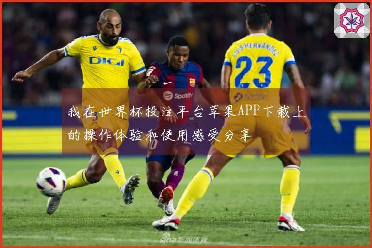 我在世界杯投注平台苹果APP下载上的操作体验和使用感受分享