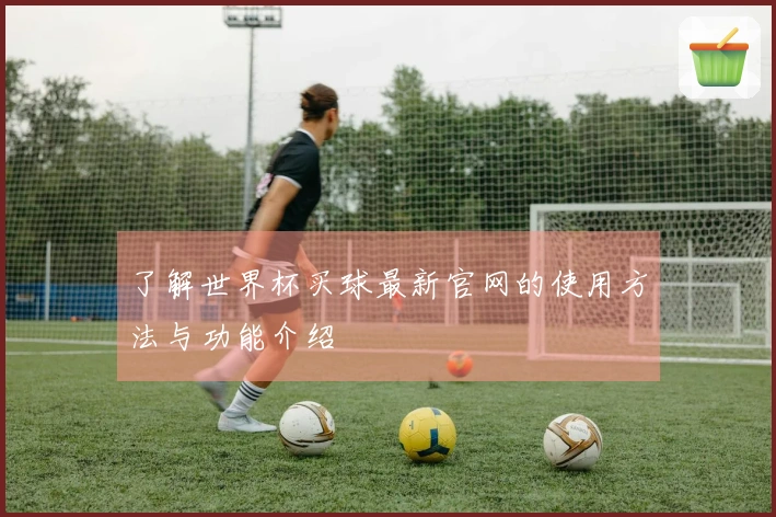 了解世界杯买球最新官网的使用方法与功能介绍